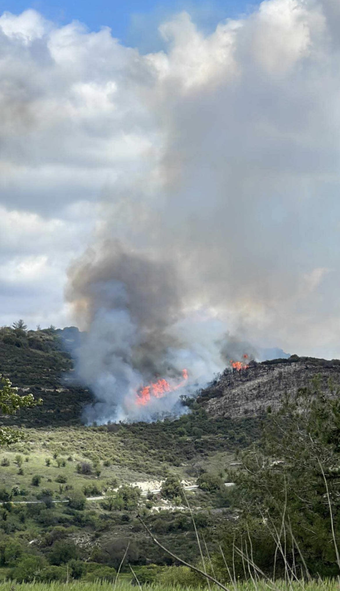 Κατέκαυσε ένα εκτάριο από άγρια βλάστηση η πυρκαγιά στην Πάφο
