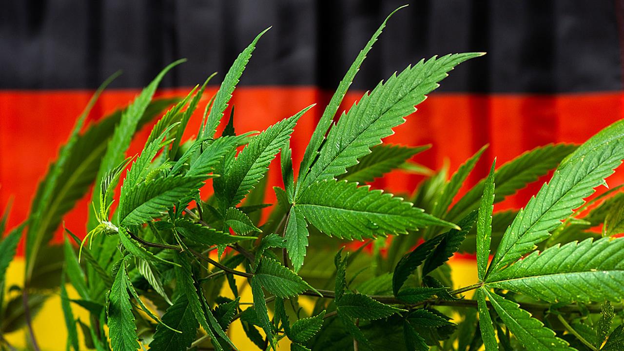 Σε ισχύ από τη Δευτέρα η μερική νομιμοποιήση της κάνναβης στη Γερμανία