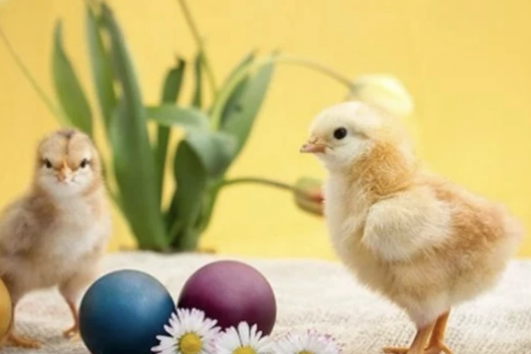 Πώς θα είναι το Πάσχα για τα 12 ζώδια;