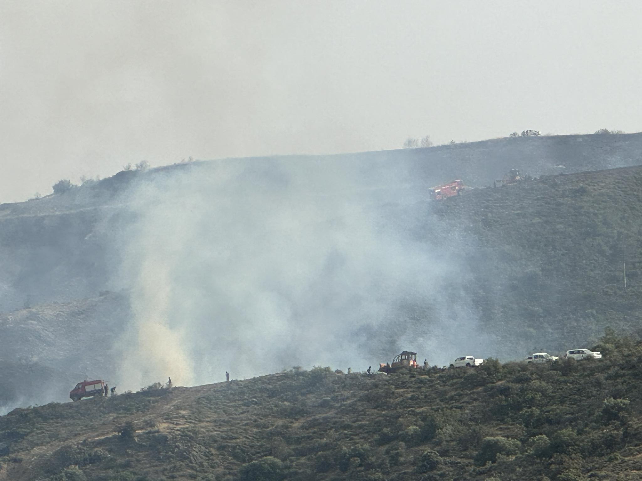 Φωτοβολίδα από ελεγχόμενη καύση, η αιτία της φωτιάς στο δάσος Λεμεσού