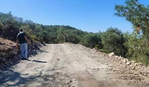 Απαντά για τις εργασίες στον Ακάμα το Τμ. Δασών: Εκτελείται η αναγκαία συντήρηση