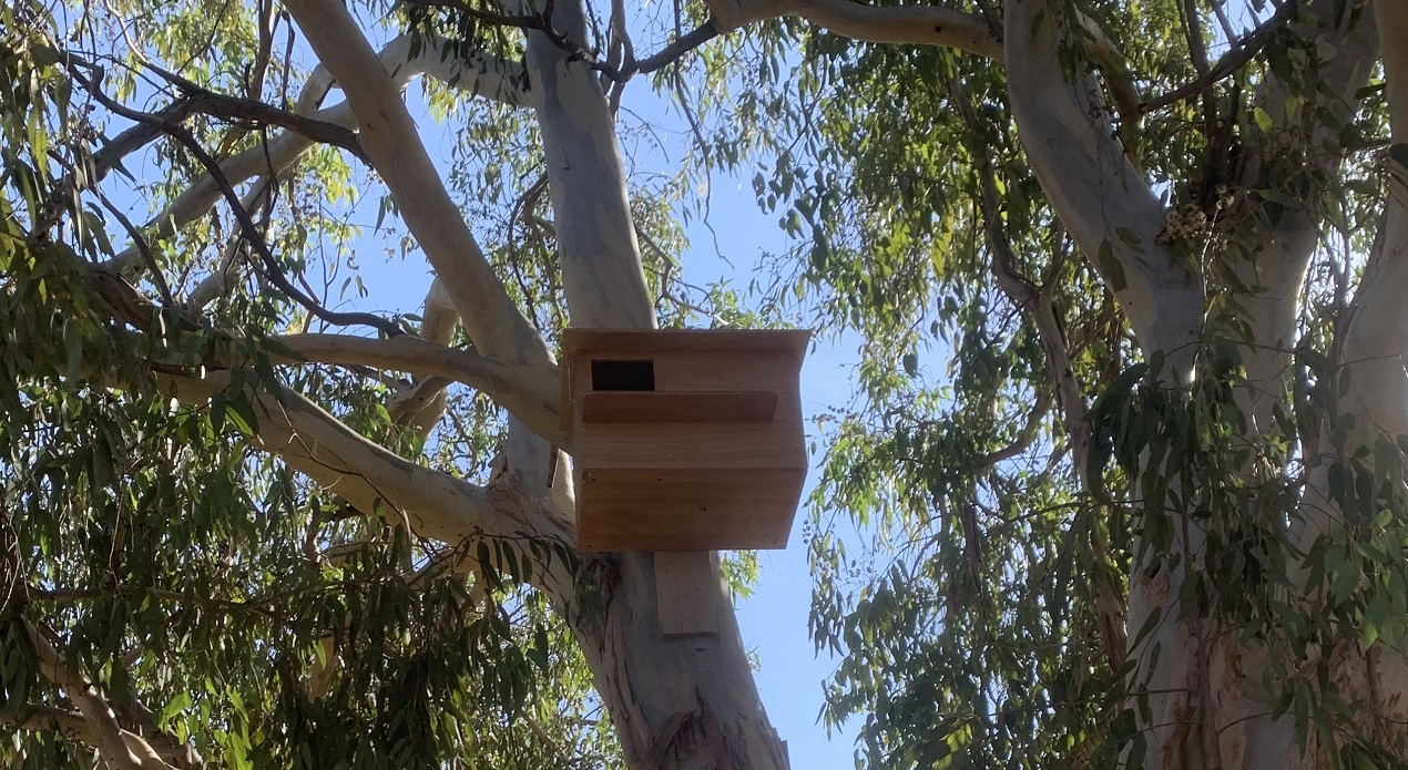 Η Bioland Energy Group εγκατέστησε 34 φωλιές ανθρωποπουλιών