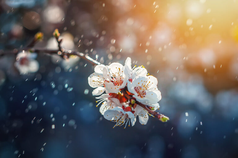 Βροχερό Πάσχα με ανέμους, πέφτει ο υδράργυρος