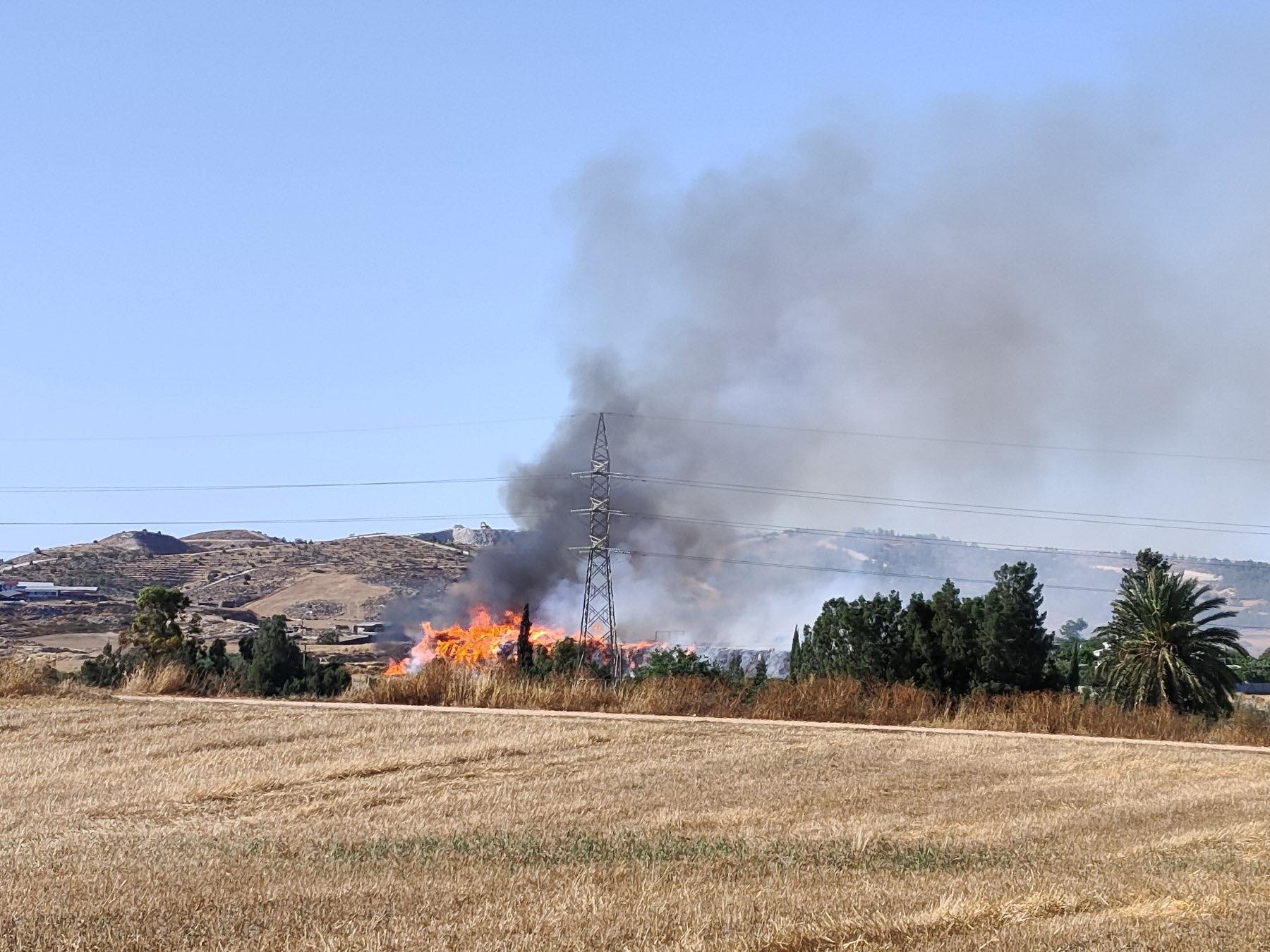 ΦΩΤΟ: Φωτιά στην Επ. Λάρνακας, κάηκαν δέντρα, ξηρά χόρτα και άγρια βλάστηση