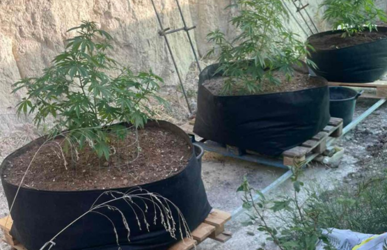 ΦΩΤΟ: Μετέτρεψε το σπίτι του σε φυτώριο κάνναβης, κατέληξε με χειροπέδες