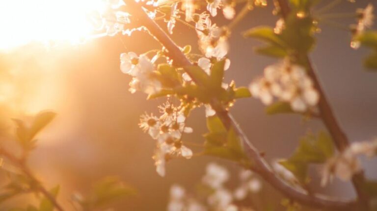 Υποχωρεί η σκόνη, ζέστη, σύννεφα και βροχές στο «μενού» του καιρού