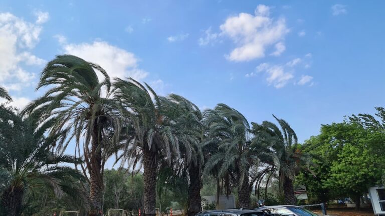 Ισχυροί άνεμοι στο καιρικό «μενού», πότε ανεβαίνει ξανά η θερμοκρασία