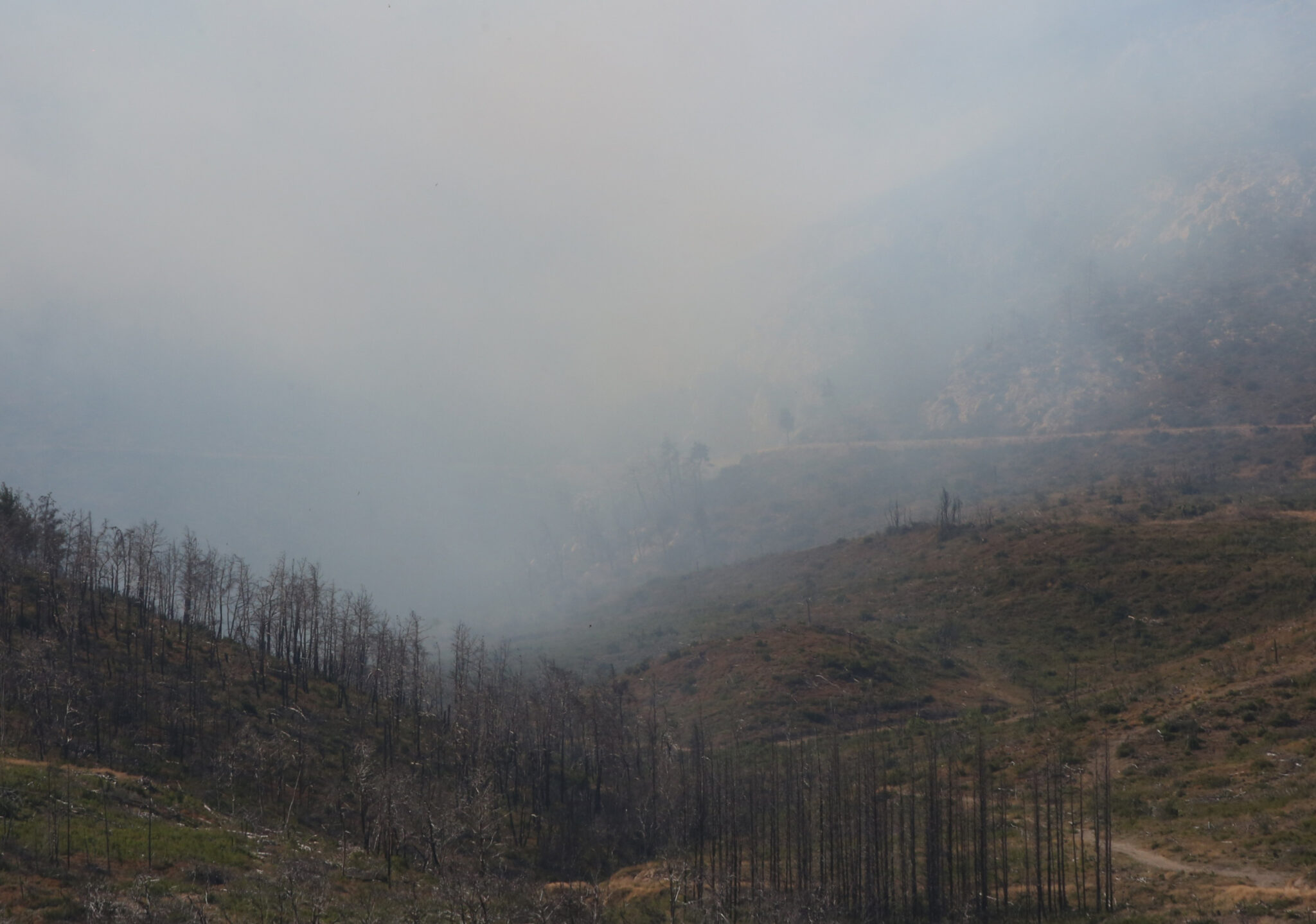 Κικίλιας: Χωρίς ενεργό μέτωπο η Πάρνηθα