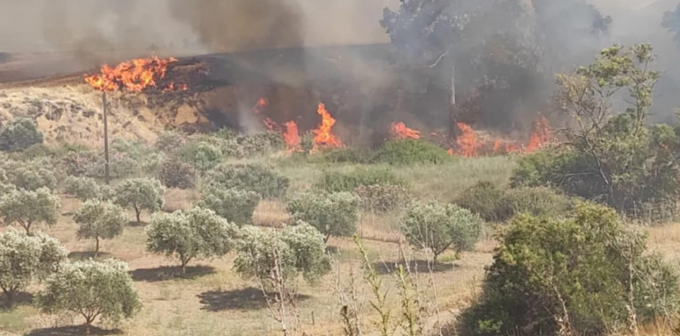 ΦΩΤΟ / ΒΙΝΤΕΟ: Νέα πυρκαγιά ξέσπασε στην επαρχία Λευκωσίας, στη μάχη δύο πτητικά