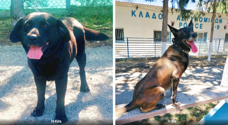 Η Iris και η Kira της κυπριακής Αστυνομίας πάνε Παρίσι για τους Ολυμπιακούς