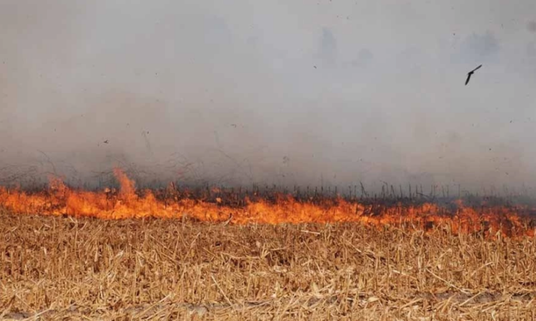 Ανεξέλεγκτη μαίνεται φωτιά στην κατεχόμενη Αμμόχωστο (ΒΙΝΤΕΟ)