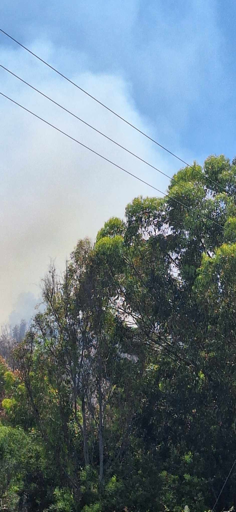 Υπό μερικό έλεγχο η φωτιά στο Φασούρι, στη μάχη πέντε πτητικά (ΒΙΝΤΕΟ)