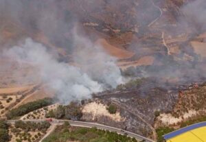 «Αν τα πτητικά μέσα έρχονταν πιο έγκαιρα…θα μπορούσε να περιοριστεί»
