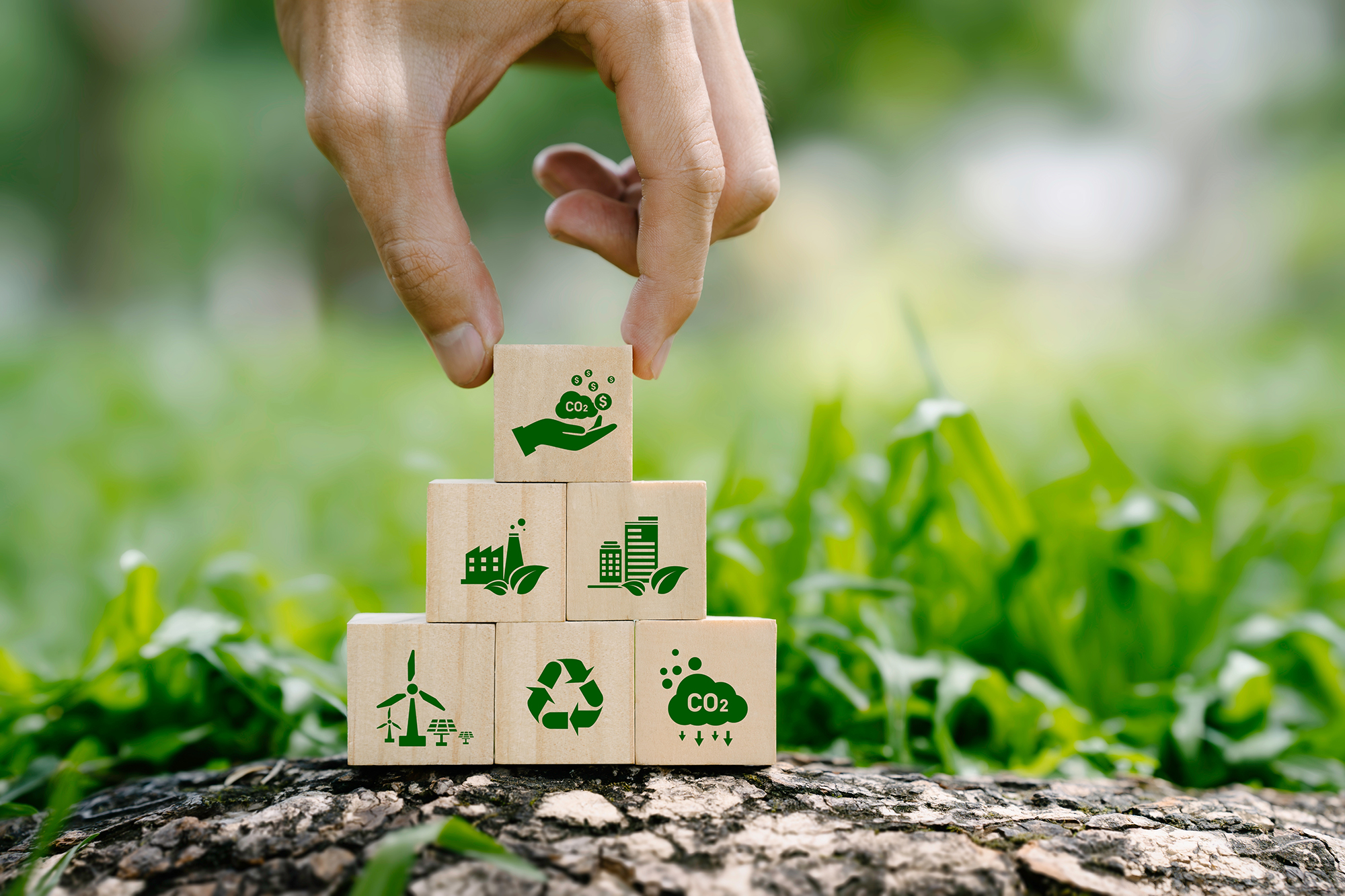 Ελληνική Τράπεζα:​ €219 εκατ. ο συνολικός νέος πράσινος δανεισμός