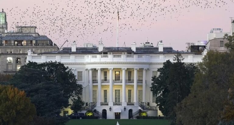 Εκλογές ΗΠΑ: Βήμα-βήμα η κούρσα που θα κρίνει τον επόμενο ένοικο του Λ. Οίκου