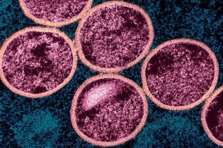 Λαμβάνει μέτρα η Κίνα για την ευλογιά των πιθήκων