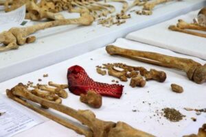 Πέντε Ε/κ και δύο Τ/κ αγνοούμενοι ταυτοποιήθηκαν το 2024