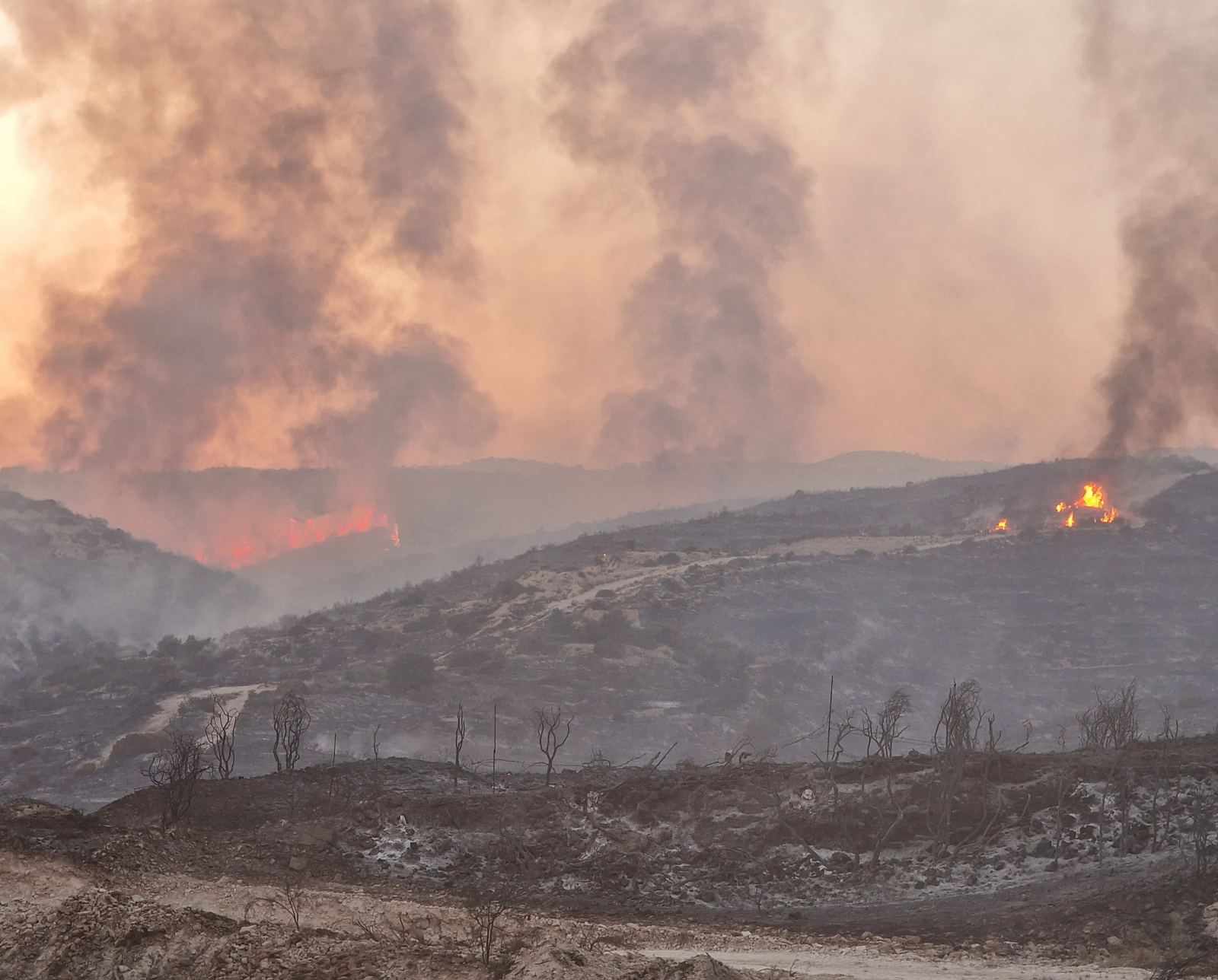 Τα 4 μέτρα που ζήτησε από την ΑΗΚ η Παναγιώτου για δασικές πυρκαγιές από καλώδια