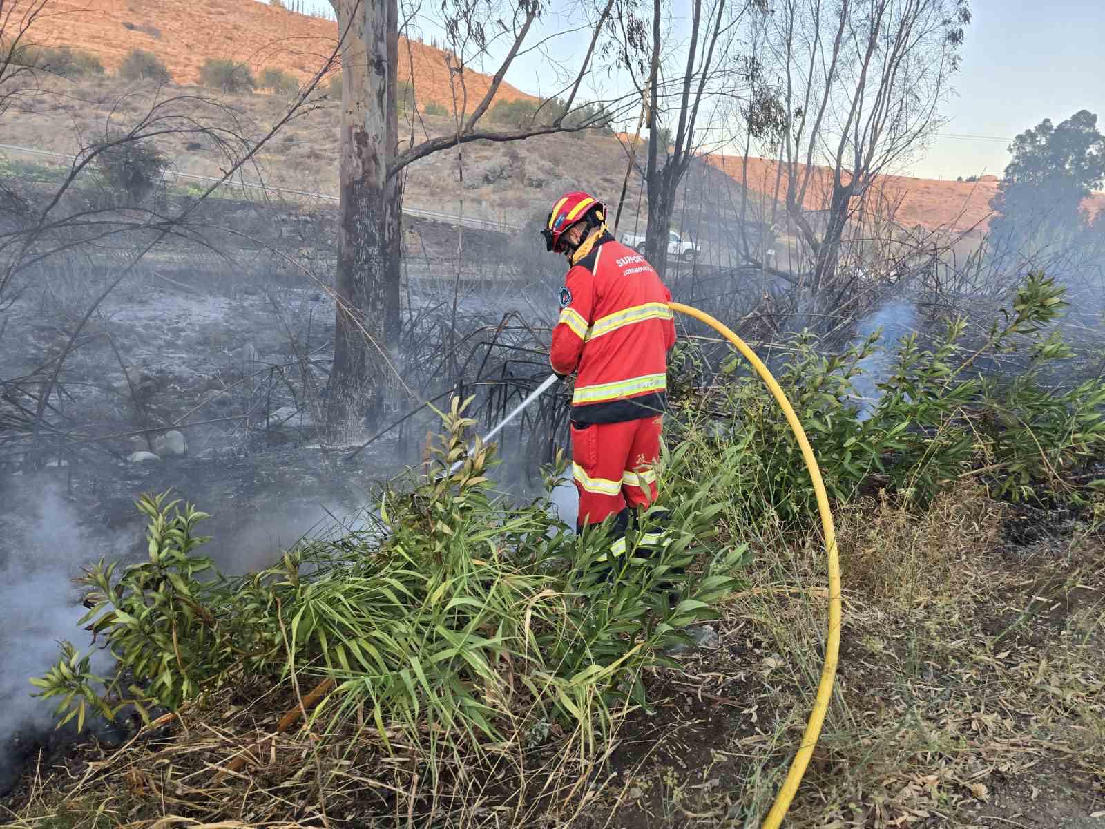 Ό,τι άφησε πίσω της η πυρκαγιά στη Βυζακιά (ΦΩΤΟ)