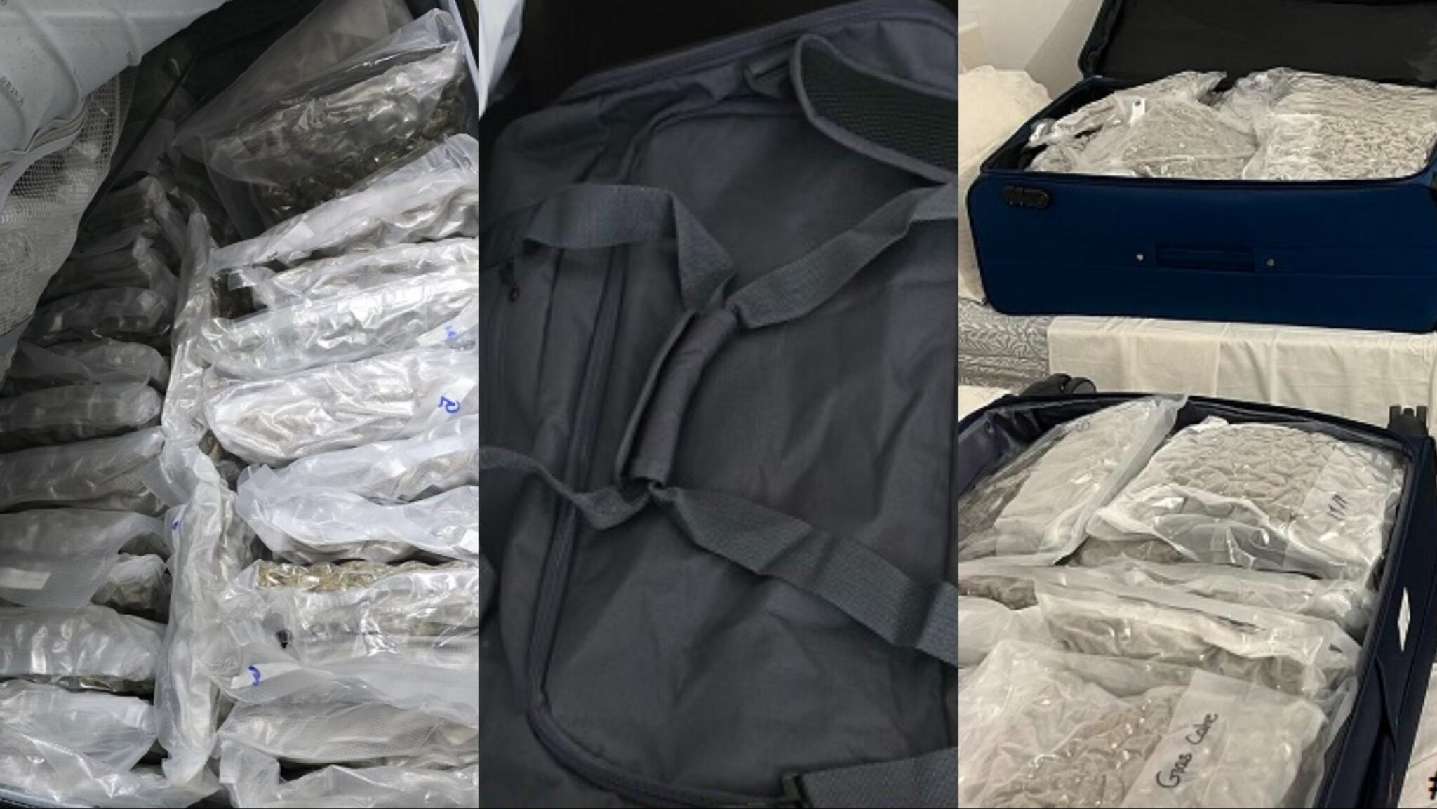 ΦΩΤΟ: Έκρυβε 80kg κάνναβης σε ξενοδοχείο και διαμέρισμα, εντοπίστηκαν €19.000