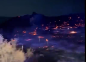 Ασφαλίστηκε περιμετρικά η φωτιά στη Λεμεσό, στα τρία εκτάρια η καμένη έκταση