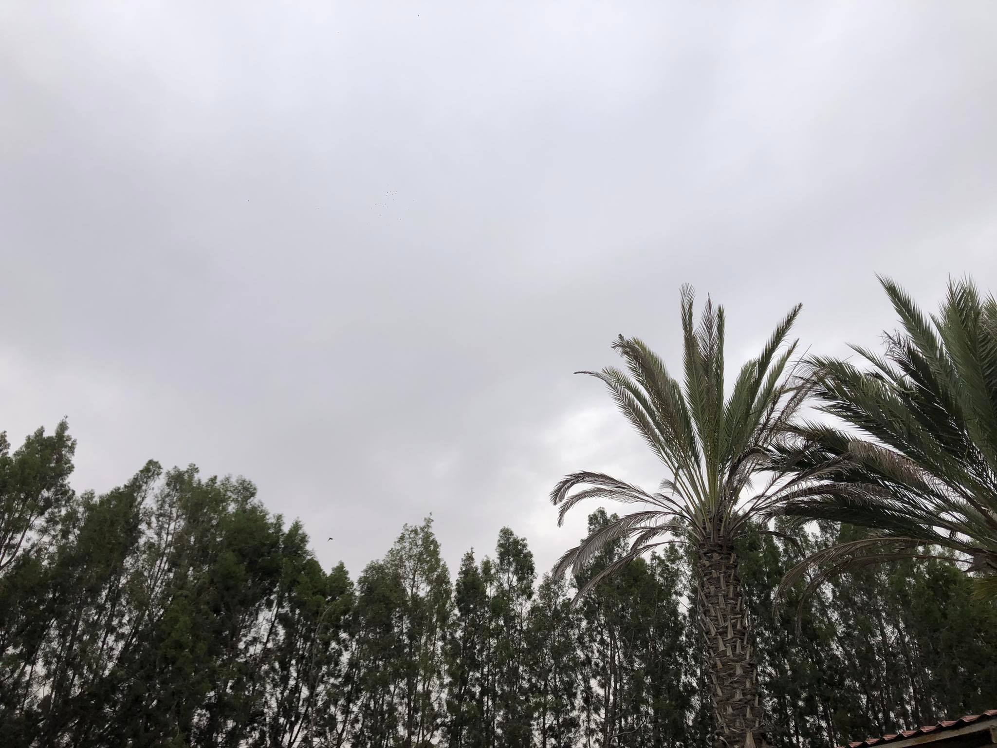 Πώς θα κινηθεί η θερμοκρασία: Κυρίως αίθριος ο καιρός, αλλά κρύο το βράδυ