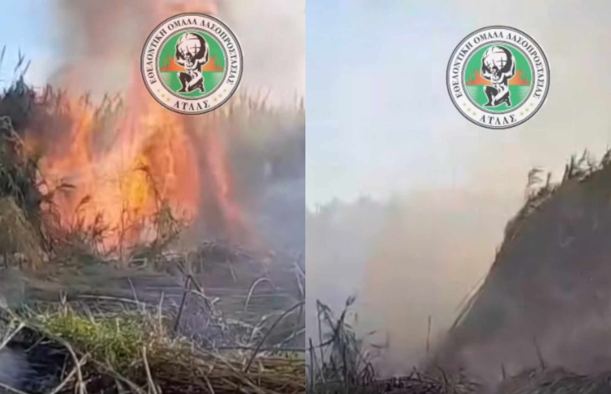 ΒΙΝΤΕΟ: Δύο πυρκαγιές με το «καλημέρα», η μία ορατή από τον αυτοκινητόδρομο