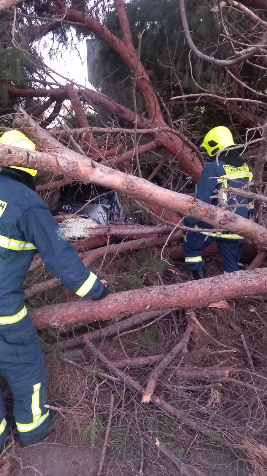 Οδηγός εγκλωβίστηκε στο αυτοκίνητό του όταν δέντρο έπεσε πάνω του