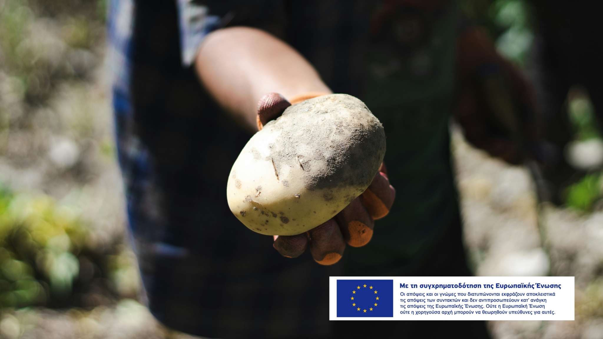 Αρχίζει η αδειοδότηση αντιχαλαζικών, αντιβροχινών συστημάτων για καλλιέργειες