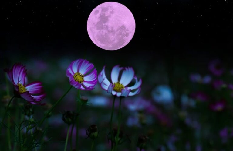 Η Σελήνη στους Διδύμους 13 με 15 Δεκεμβρίου φέρνει τύχη σε 6 ζώδια