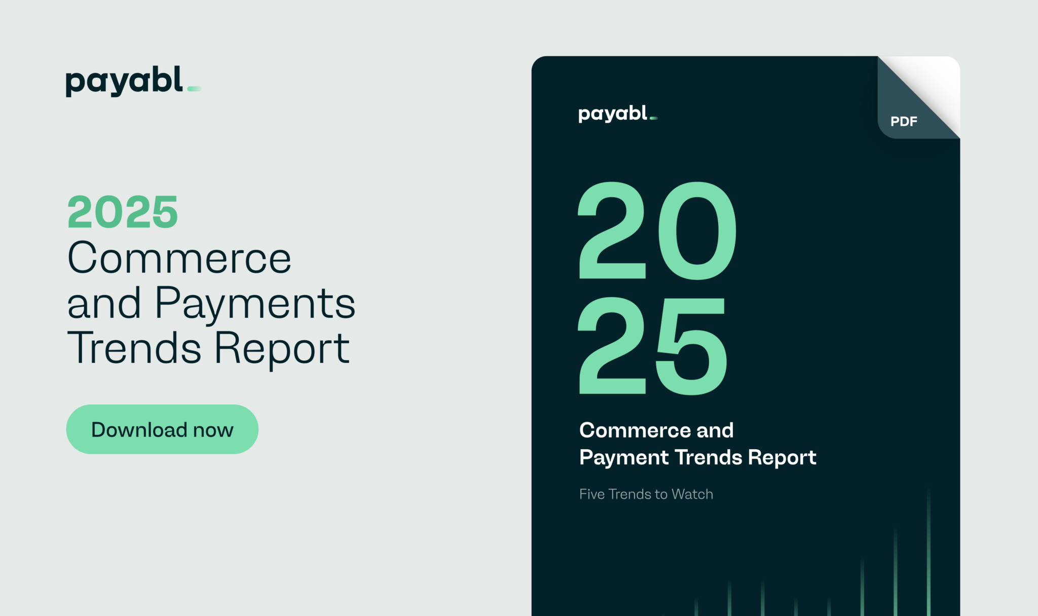 Τα Ψηφιακά Πορτοφόλια και το Open Banking κυριαρχούν στις πληρωμές του 2025