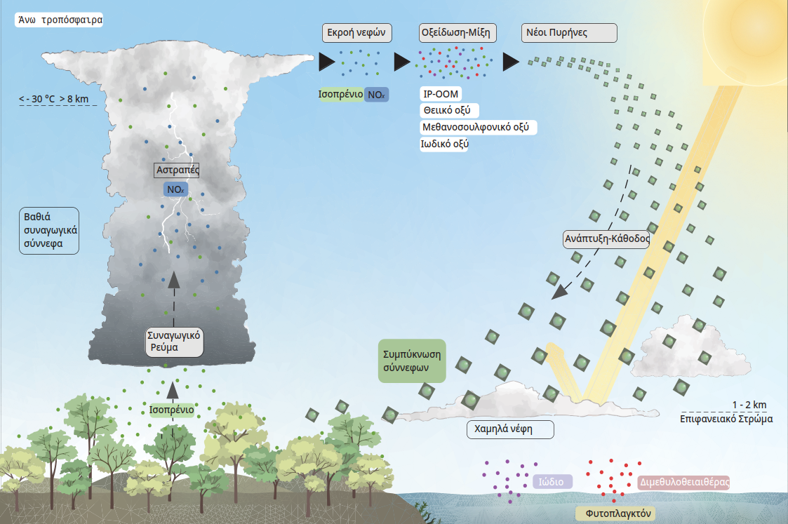 Ινστιτούτο Κύπρου: Πρωτοποριακή έρευνα για το ζωτικό ρόλο του ισοπρένιου