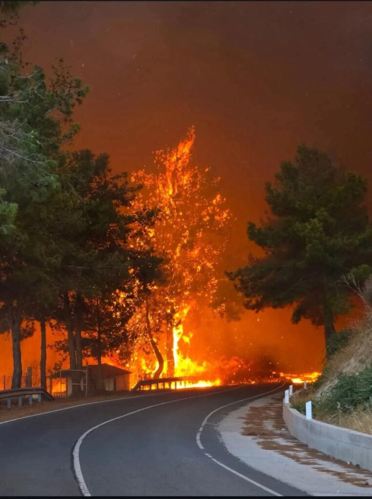 Αλφαμέγα στην Τριμίκλινη: Ανοιχτή για φιλοξενία πυρόπληκτων και προσφορά ειδών πρώτης ανάγκης