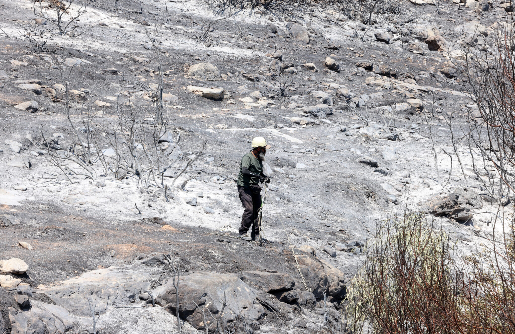 Καϊλάς: Τεράστιες ζημιές από τις πυρκαγιές, ανάγκη για άμεση δράση κι ενίσχυση των μέτρων προστασίας