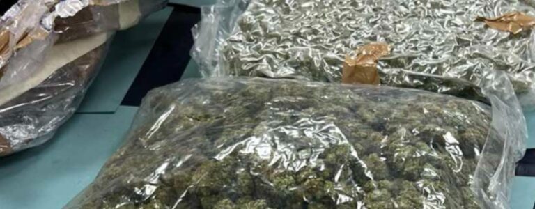 ΦΩΤΟ: Έντεκα χρόνια στο κελί 40χρονος για κατάσχεση μεγάλης ποσότητας ναρκωτικών