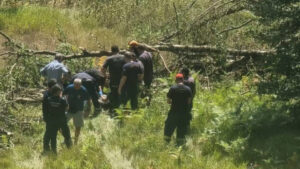 Κορμός οξιάς καταπλάκωσε ξυλοκόπο στα Ιωάννινα