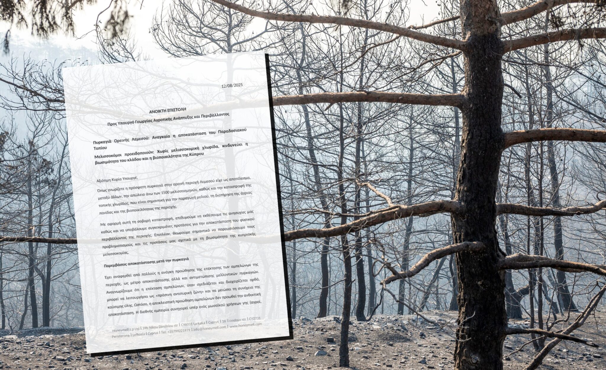 Κάηκαν 1500 σμήνη: SOS από τους πυρόπληκτους μελισσοκόμους στην ορεινή Λεμεσό