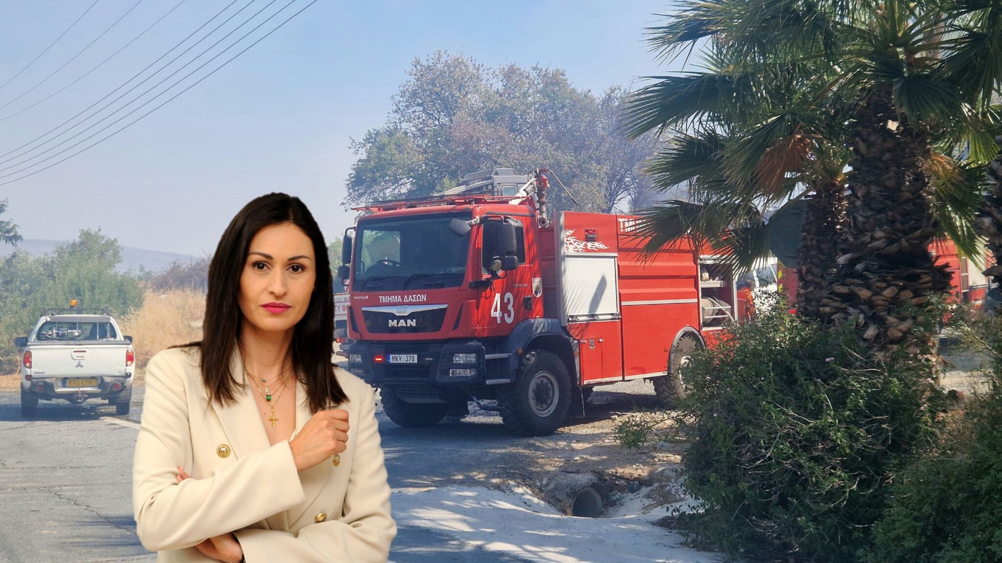 Την ώρα που η Παναγιώτου βρισκόταν σε σύσκεψη στο Όμοδος ξέσπασε η πυρκαγιά