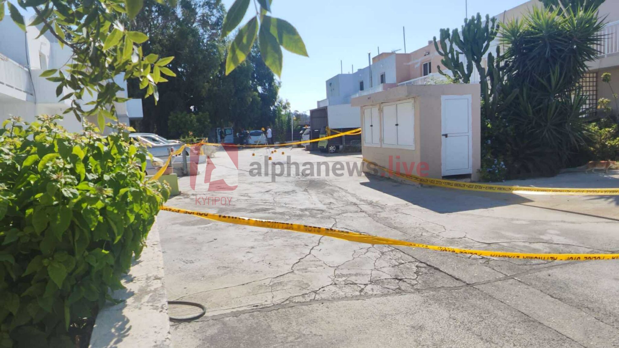 «Γάζωσαν» το όχημα 25χρονης γυναίκας έξω από το σπίτι της, τι εντόπισαν στη σκηνή