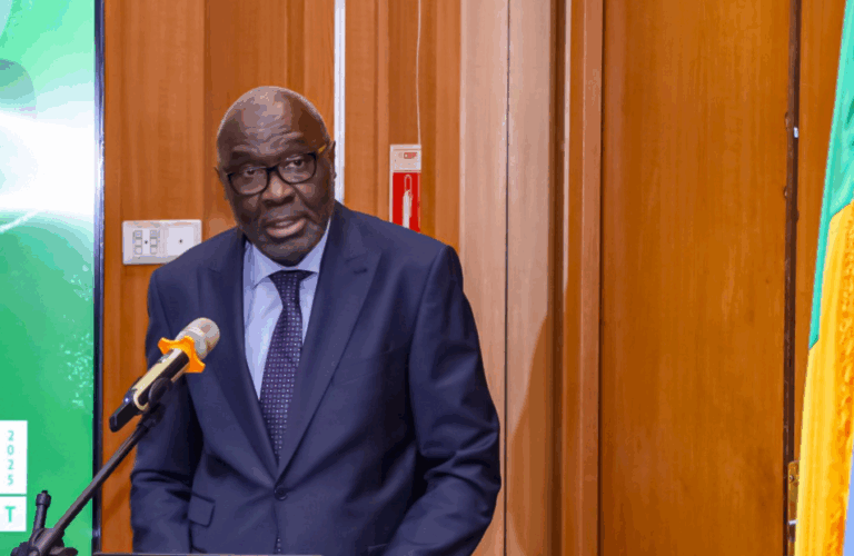 Ενημέρωσε το ΣΑ ΟΗΕ για τον διάδοχο του Στιούαρτ ο Γκουτέρες