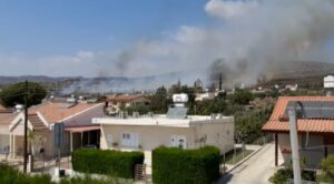 Πυρκαγιά κοντά σε σπίτια στη Μουτταγιάκα (BINTEO)