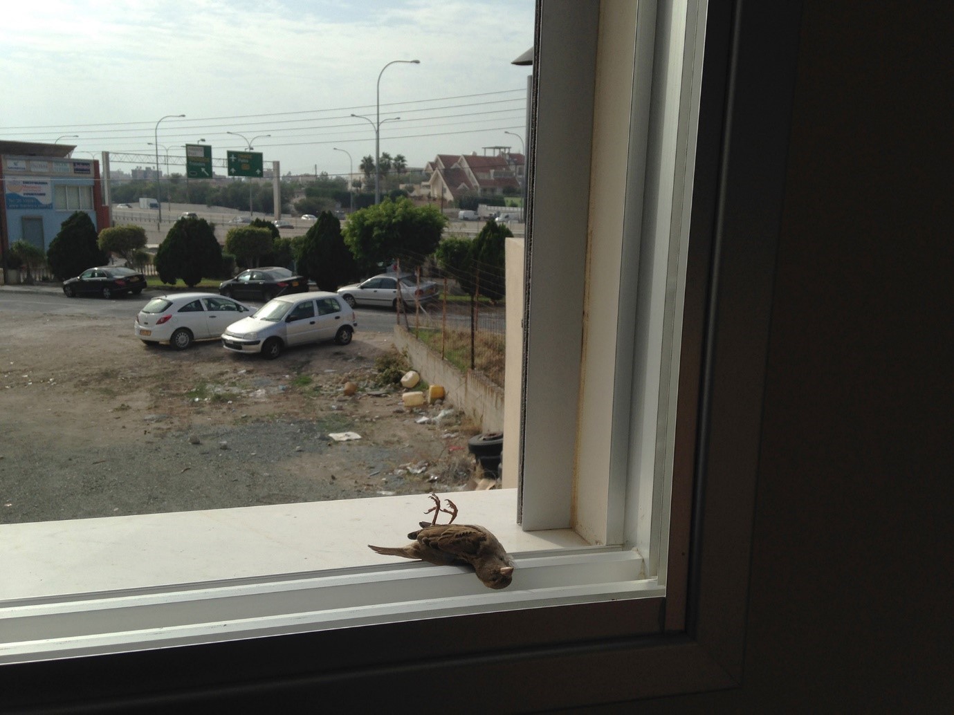 Με αυτή την πρόταση πάει η Κύπρος στην 61η Μπιενάλε Τέχνης της Βενετίας