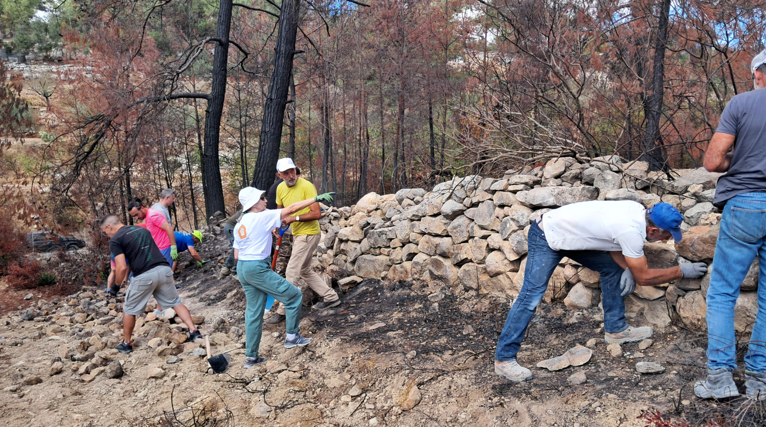 ΦΩΤΟ: Εθελοντές αποκατέστησαν τριάντα έξι μέτρα δόμης στο καμένο Σούνι