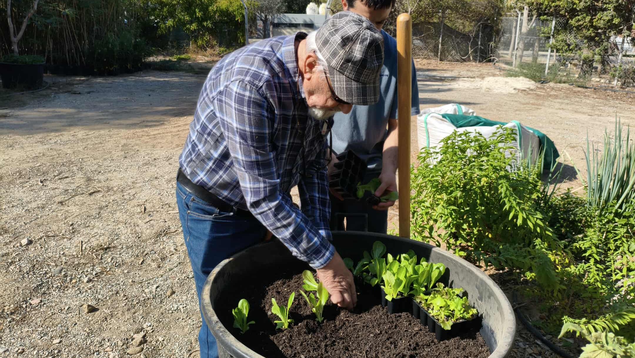 ΒΙΝΤΕΟ: Συνταξιούχοι συναντούν τη φύση, καλλιεργούν και προσφέρουν τα προϊόντα τους