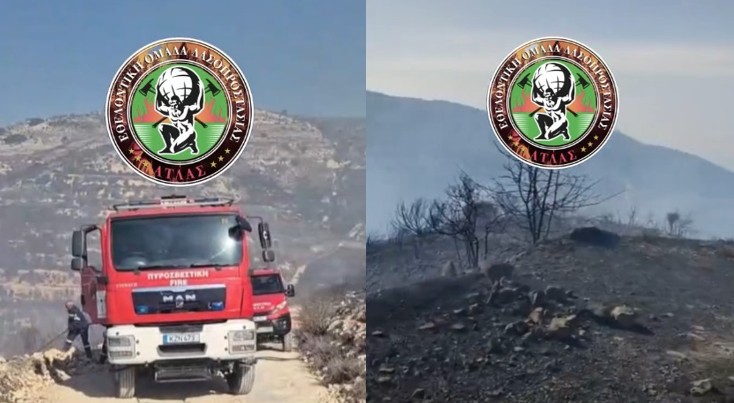 ΒΙΝΤΕΟ: Μάχη και από αέρος στην Πάχνα, δύσκολη η κατάσβεση, ισχυροί άνεμοι πνέουν στην περιοχή