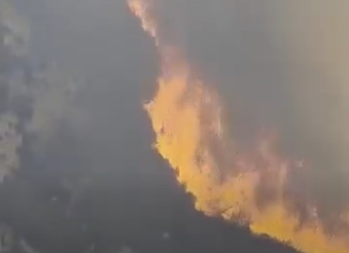 Πύρινη κόλαση, νέο ανεξέλεγκο μέτωπο φωτιάς στον Κάθηκα (ΒΙΝΤΕΟ)