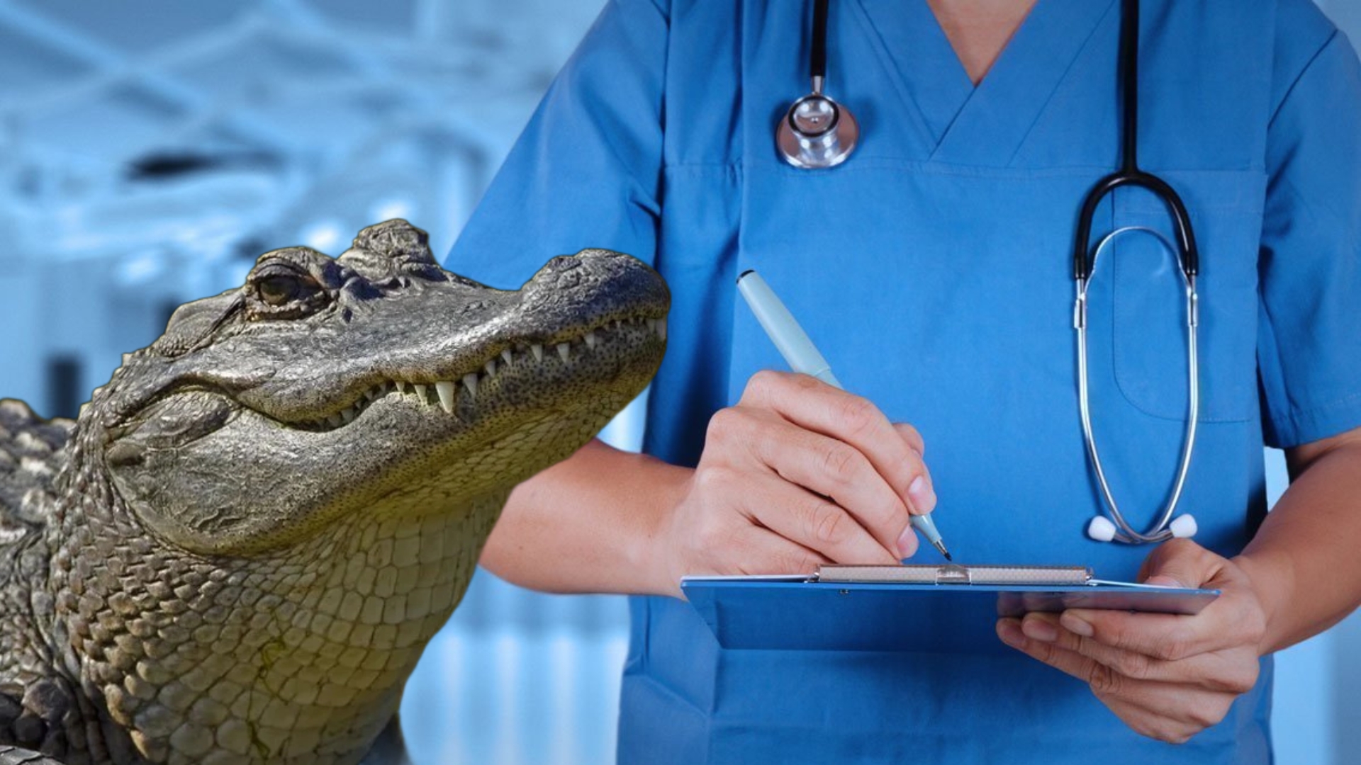 Τα παράλογα… του ΓεΣΥ: Τι γίνεται αν σε δαγκώσει αλιγάτορας ή συγκρουστείς με τρένο