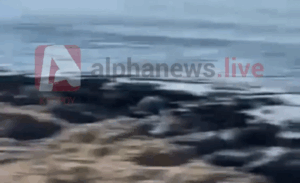 ΦΩΤΟ: Χάθηκαν τα ίχνη του 15χρονου Ραφαήλ, τον έχετε δει;