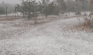 Χαλαζόπτωση και έντονες βροχές στη Λάρνακα (ΒΙΝΤΕΟ)