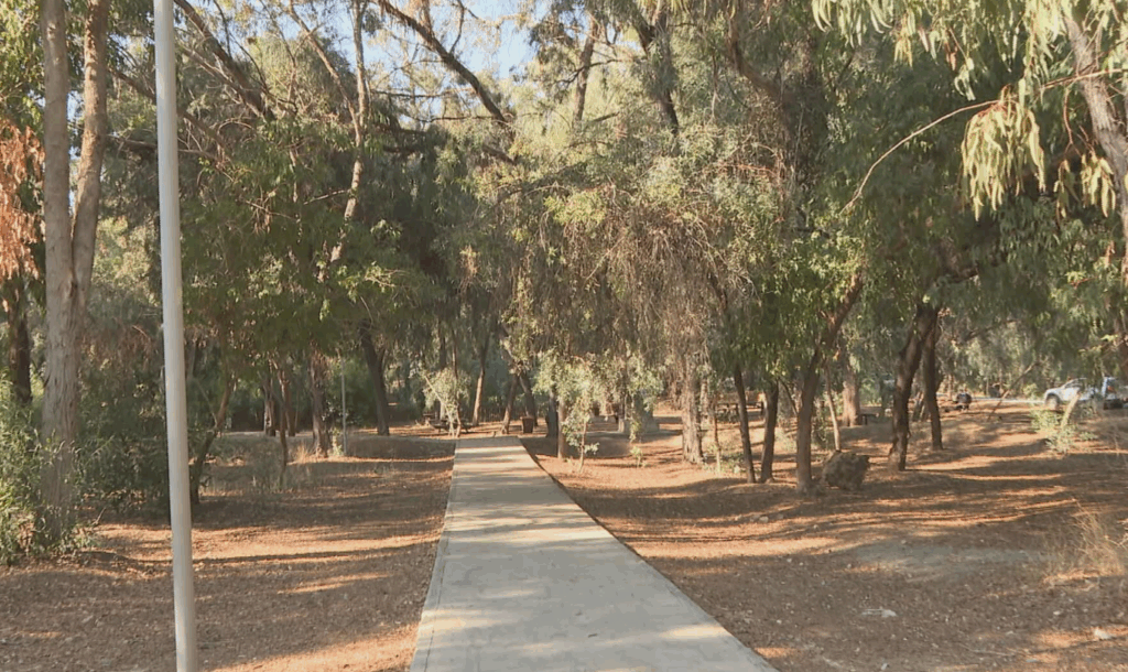 Εμμένει στον σχεδιασμό για δρόμο μέσα στο πάρκο Αθαλάσσας η Πολεοδομία